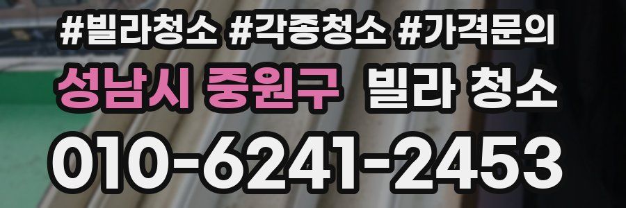 성남시 중원구 빌라 청소