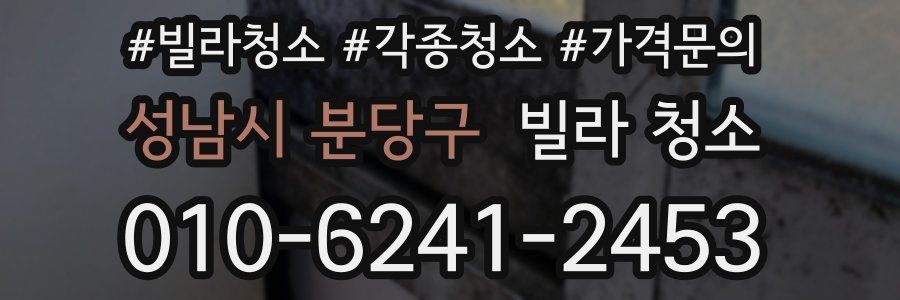 성남시 분당구 빌라 청소