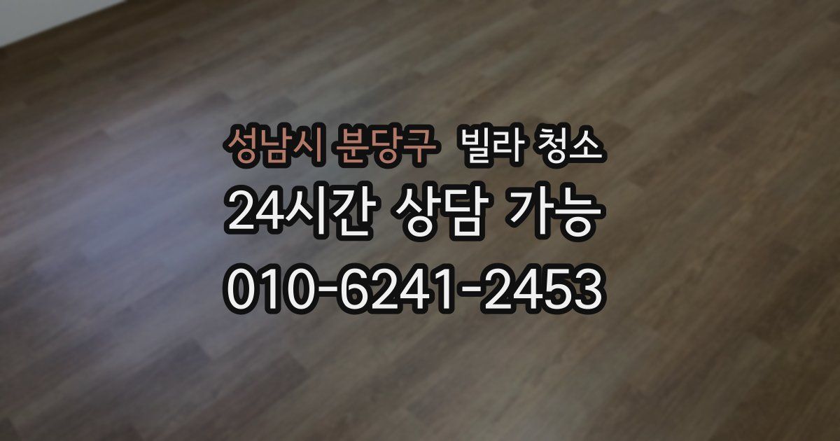 성남시 분당구 빌라 청소