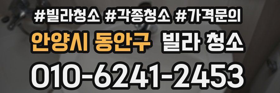 안양시 동안구 빌라 청소