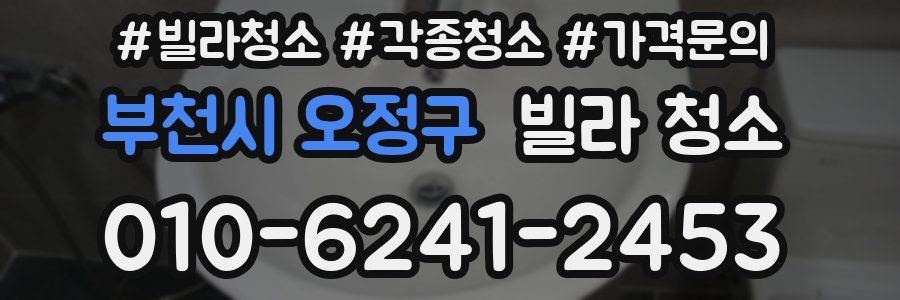 부천시 오정구 빌라 청소