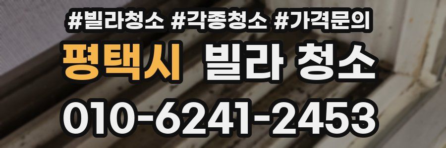 평택시 빌라 청소