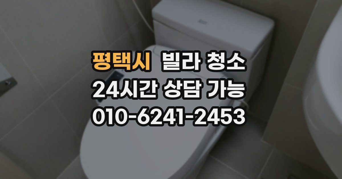 평택시 빌라 청소