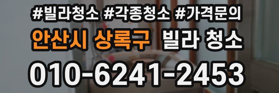 안산시 상록구 빌라 청소