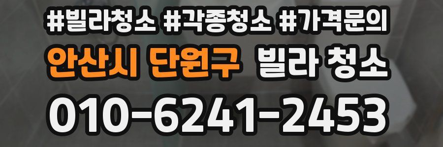 안산시 단원구 빌라 청소