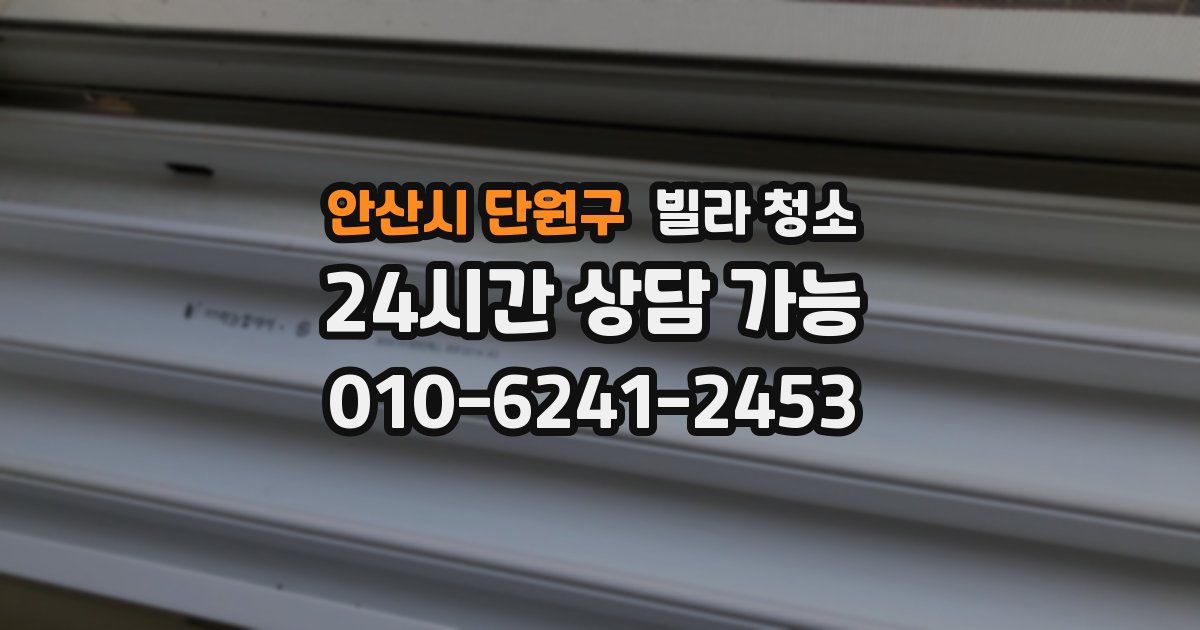 안산시 단원구 빌라 청소