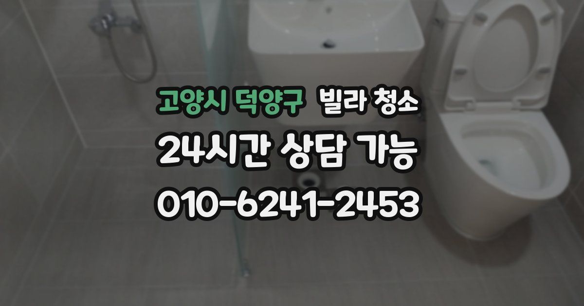 고양시 덕양구 빌라 청소