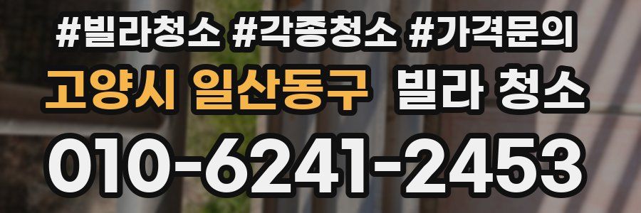 고양시 일산동구 빌라 청소