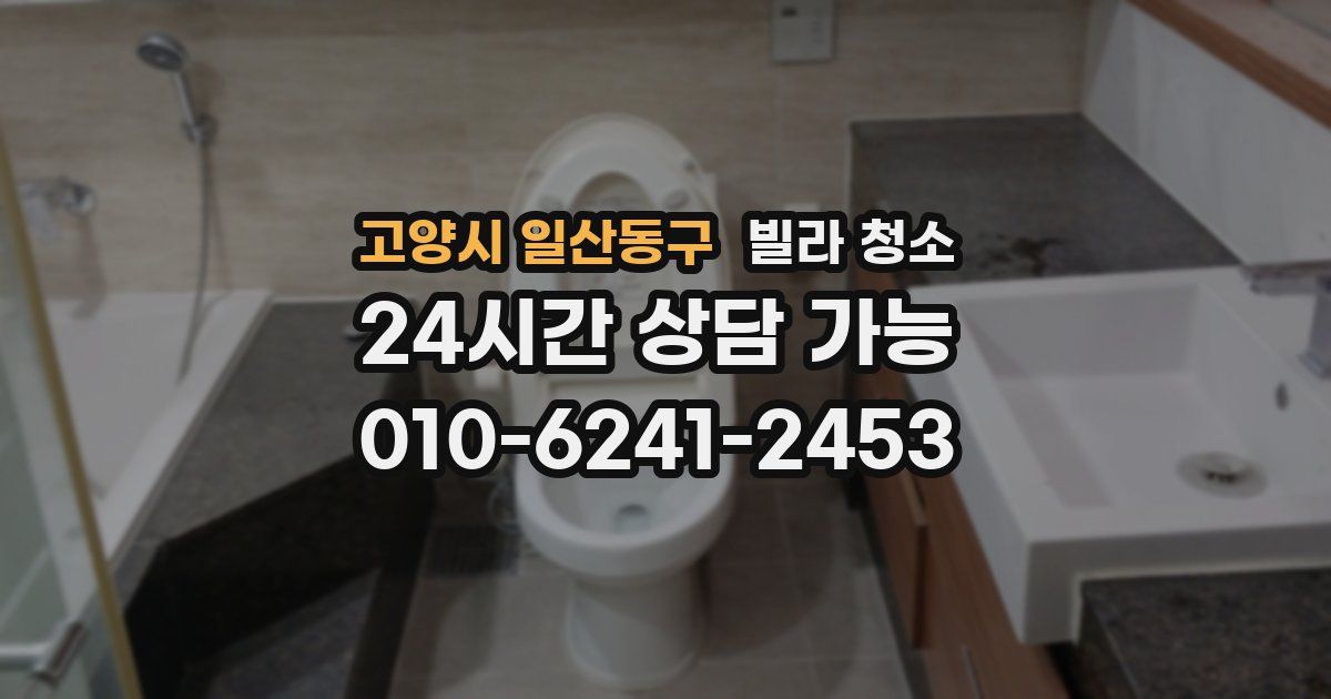 고양시 일산동구 빌라 청소