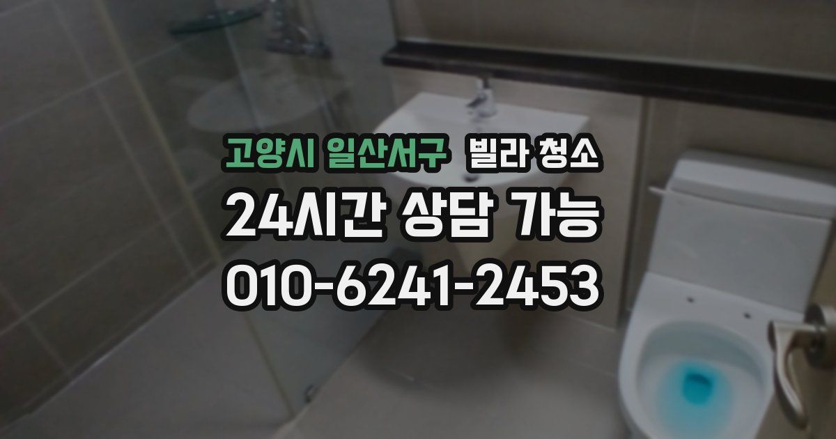 고양시 일산서구 빌라 청소