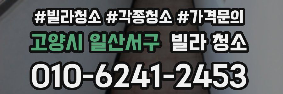 고양시 일산서구 빌라 청소