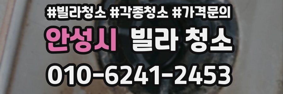 안성시 빌라 청소