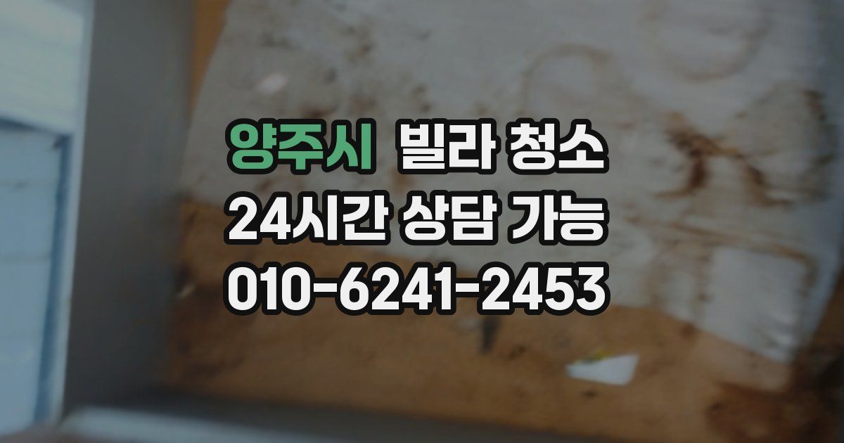 양주시 빌라 청소