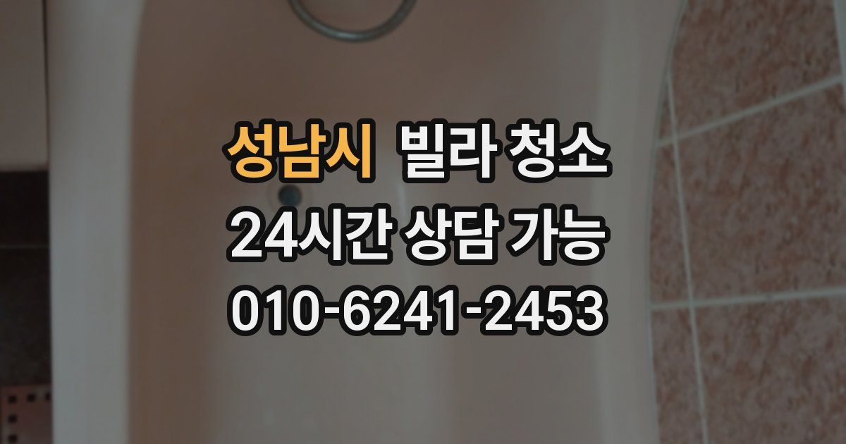 성남시 빌라 청소