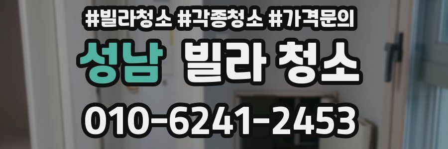 성남 빌라 청소