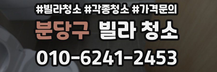 분당구 빌라 청소