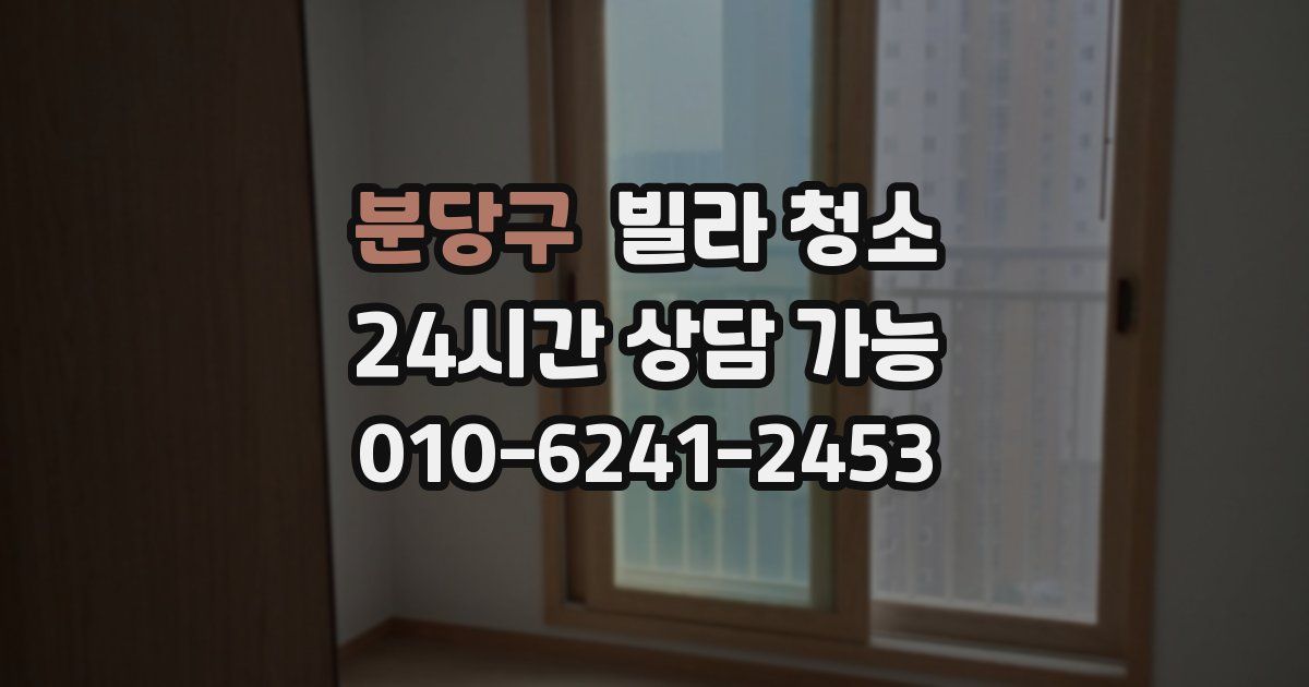 분당구 빌라 청소