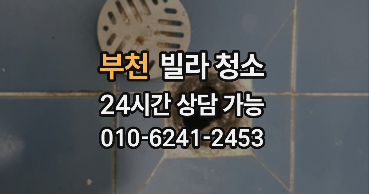 부천 빌라 청소
