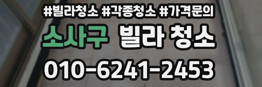 소사구 빌라 청소
