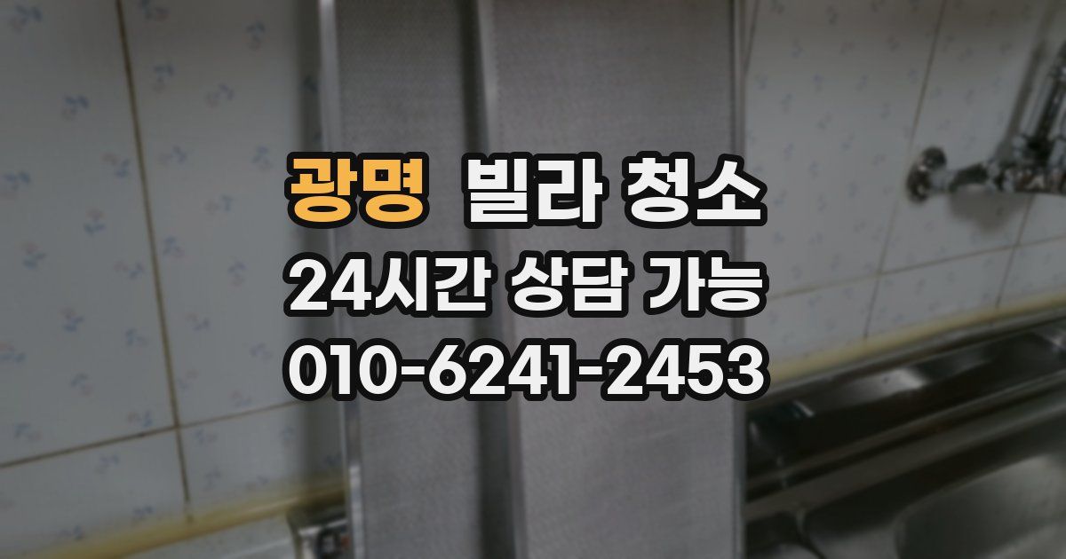 광명 빌라 청소