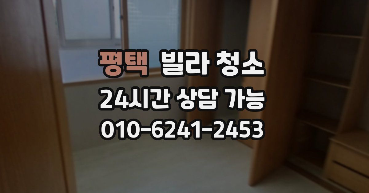 평택 빌라 청소