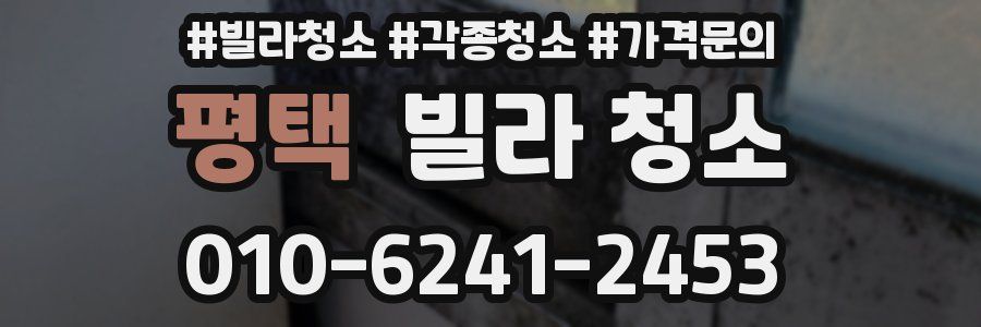 평택 빌라 청소