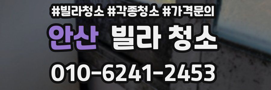 안산 빌라 청소