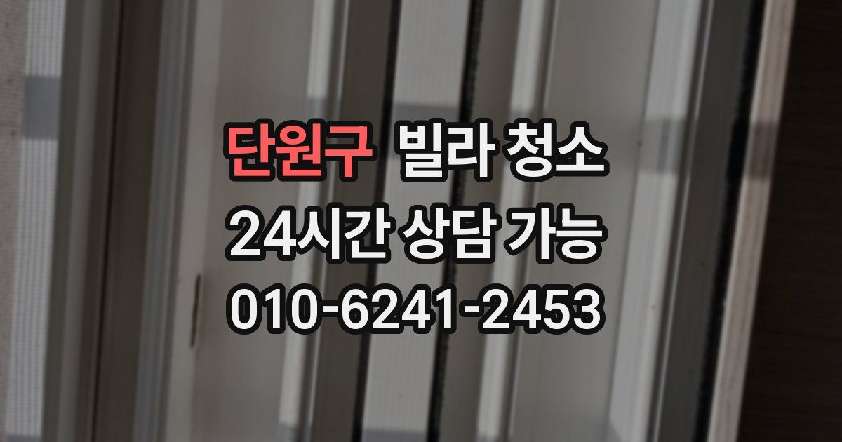 단원구 빌라 청소