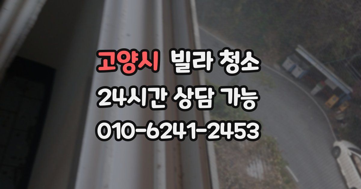 고양시 빌라 청소