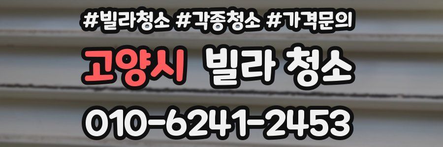 고양시 빌라 청소