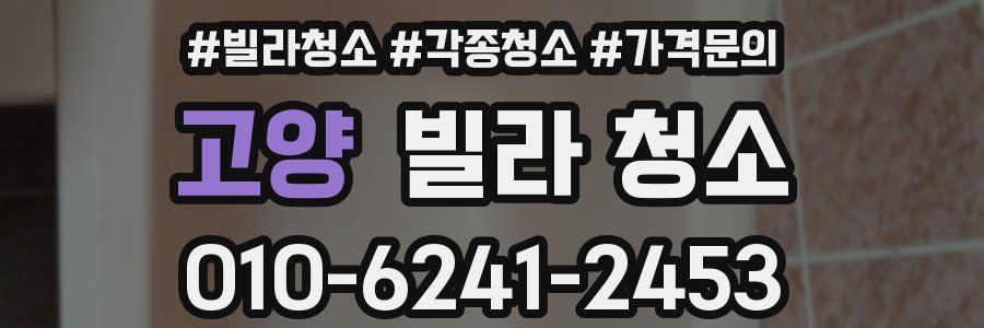 고양 빌라 청소
