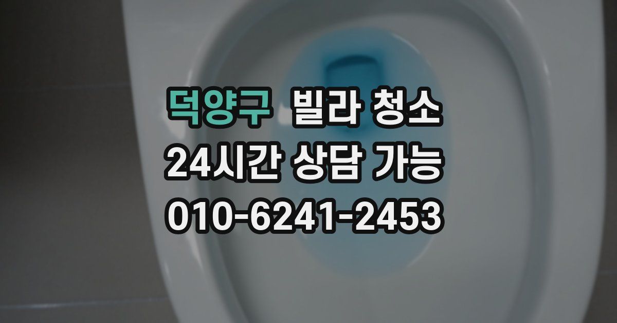 덕양구 빌라 청소