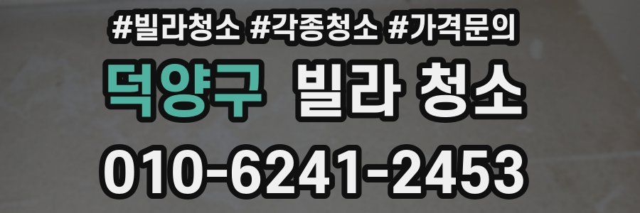 덕양구 빌라 청소