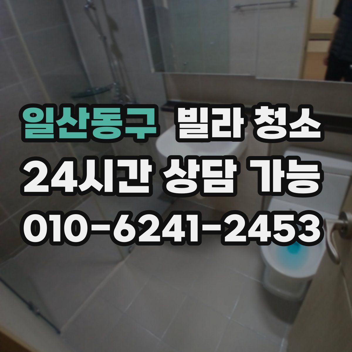 일산동구 빌라 청소