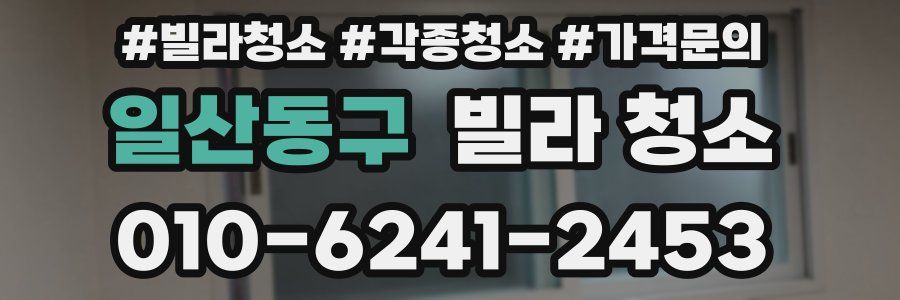 일산동구 빌라 청소