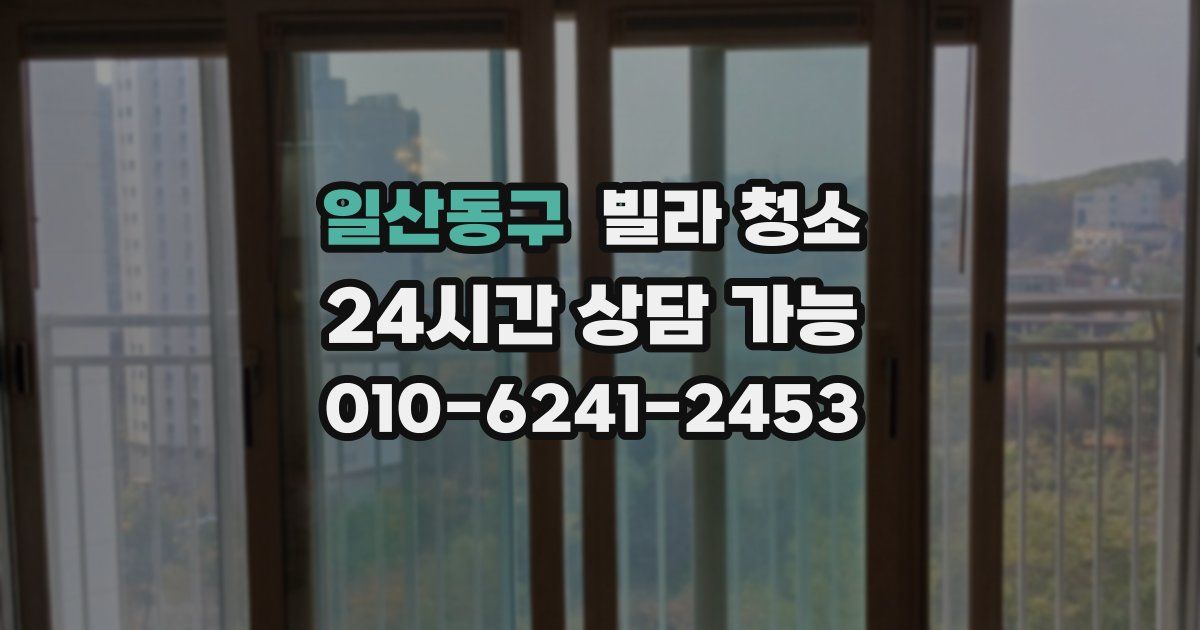 일산동구 빌라 청소