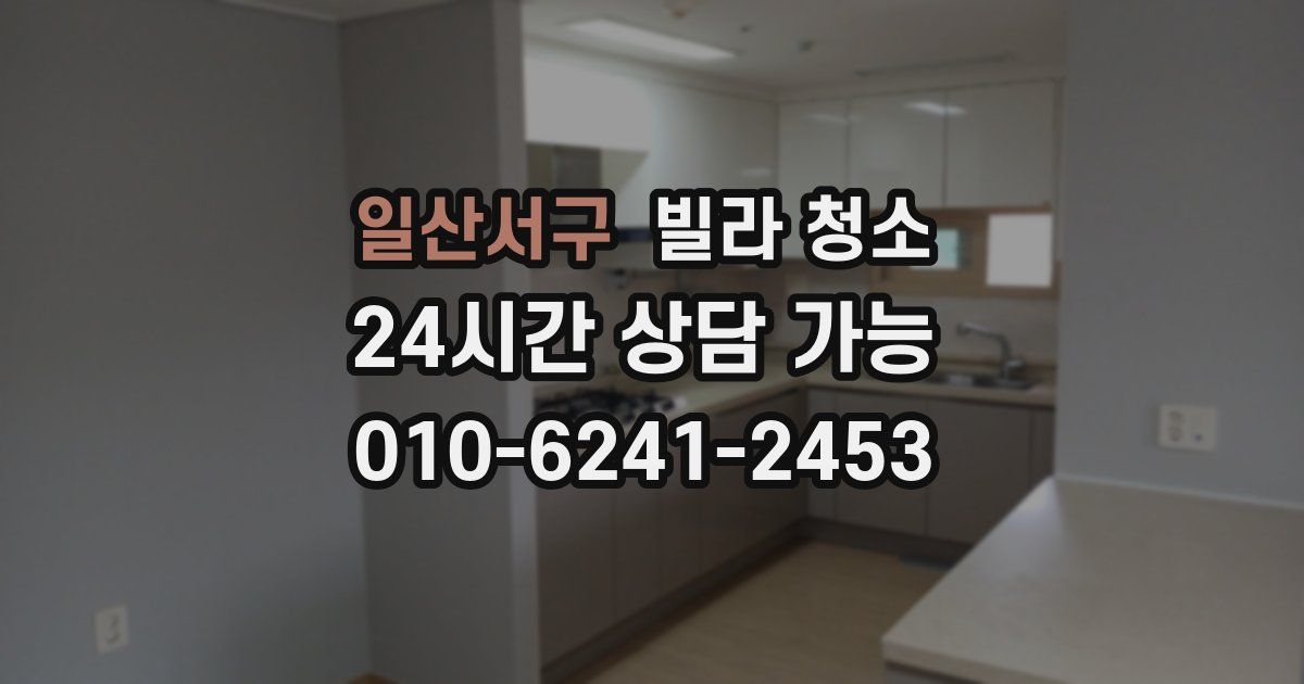 일산서구 빌라 청소