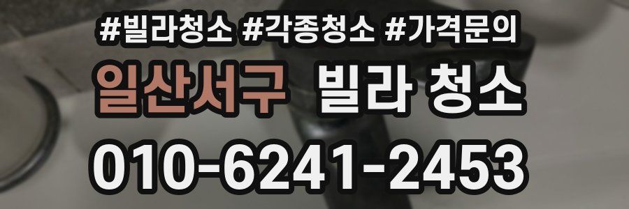 일산서구 빌라 청소