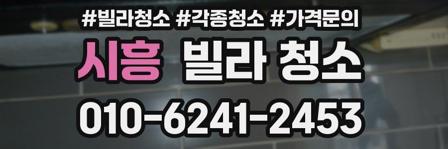 시흥 빌라 청소