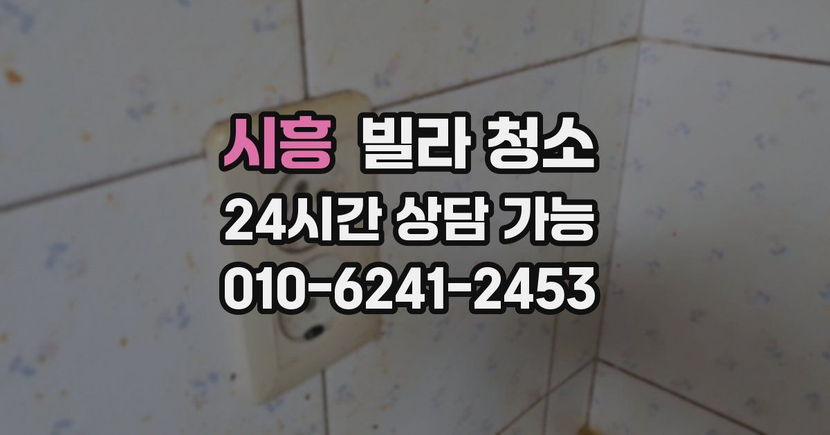 시흥 빌라 청소