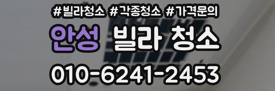 안성 빌라 청소