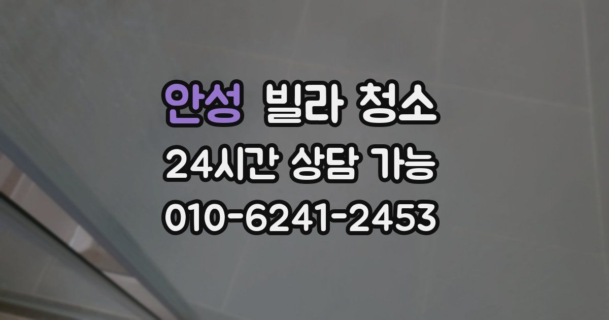 안성 빌라 청소