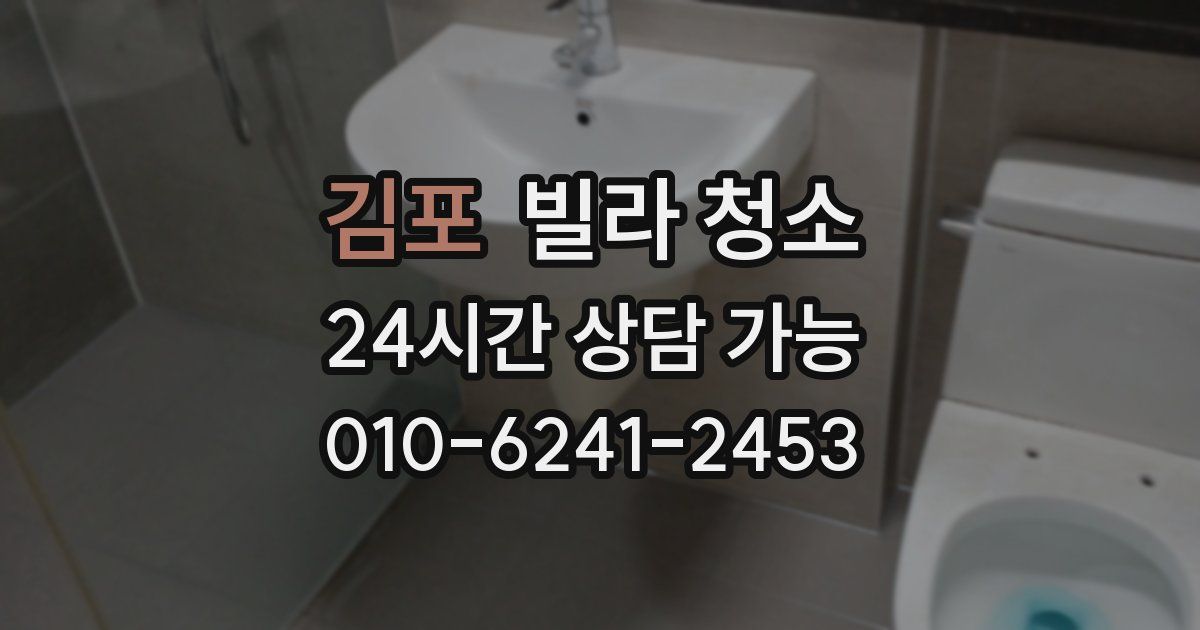 김포 빌라 청소