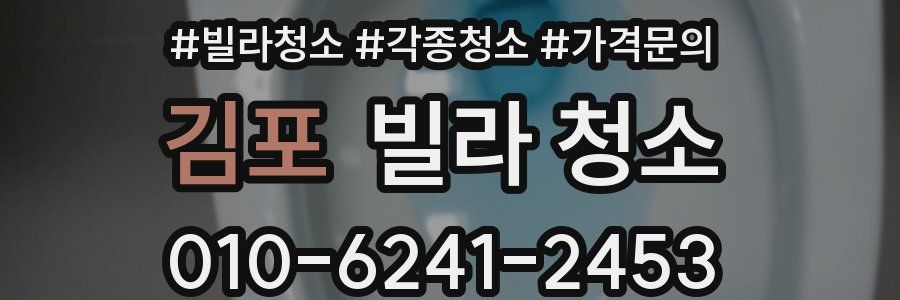 김포 빌라 청소
