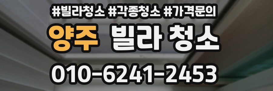 양주 빌라 청소