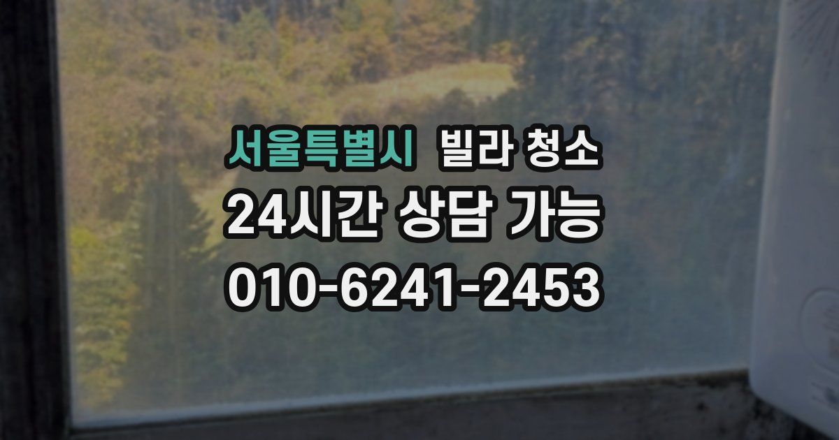 서울특별시 빌라 청소