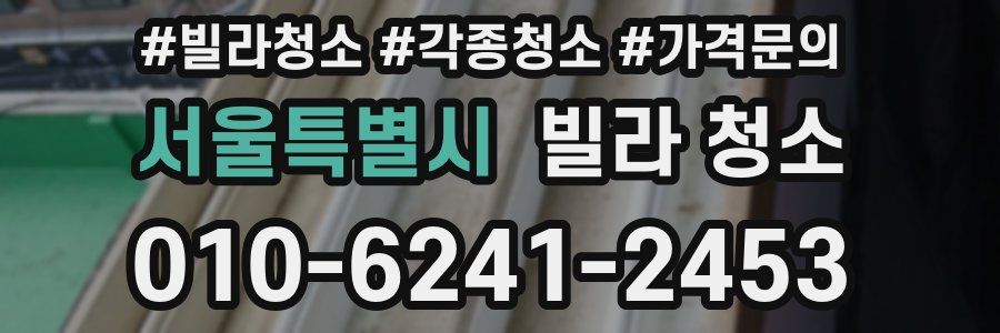 서울특별시 빌라 청소