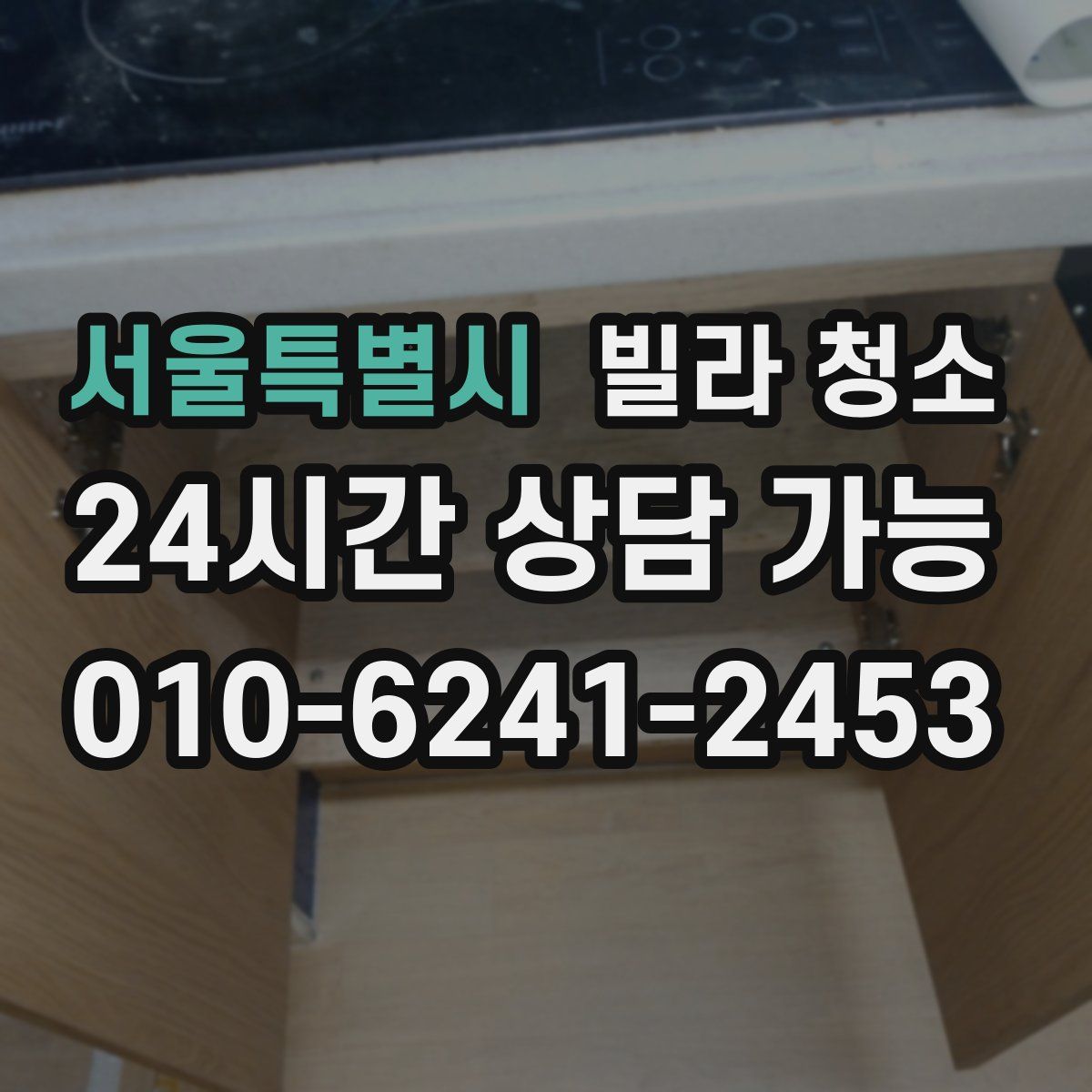 서울특별시 빌라 청소