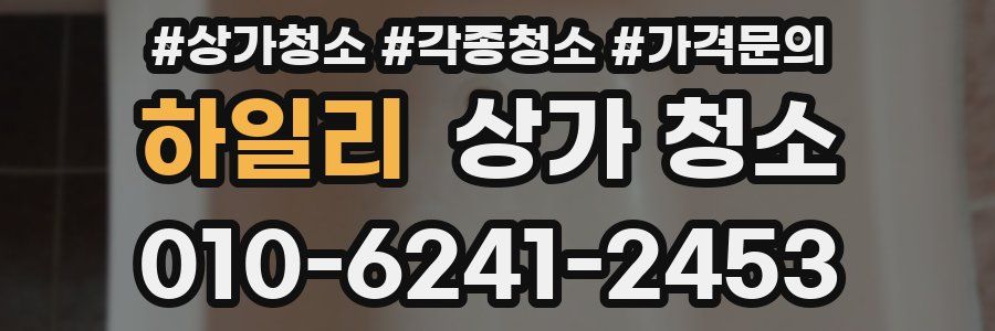 하일리 상가 청소