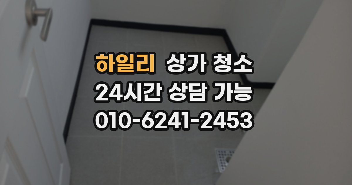 하일리 상가 청소